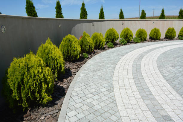 Best Decorative Driveway Pavers  in Mbrian Park, CA